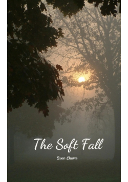 The Soft Fall