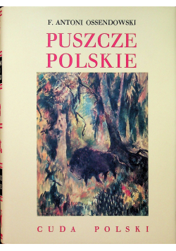 Puszcze Polskie