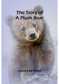 The Story of a Plush Bear