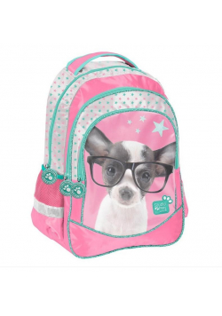 Plecak szkolny Studio Pets PTD-181 PASO