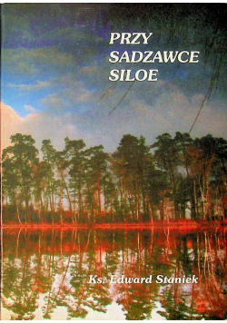 Przy sadzawce Siloe
