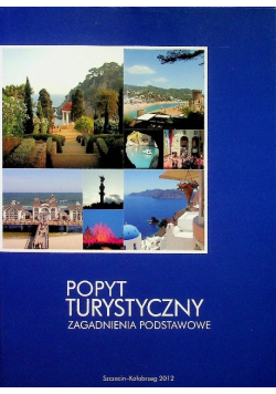Popyt turystyczny zagadnienia podstawowe