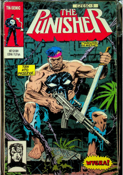 The punisher 12 / 1991