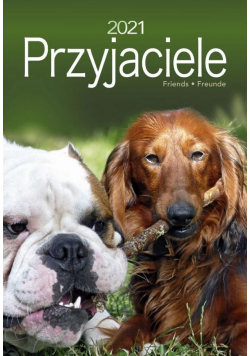 Kalendarz 2021 Ścienny Przyjaciele CRUX