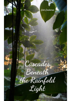 Cascades Beneath the Rainfold Light