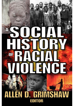 A Social History of Radical Violence