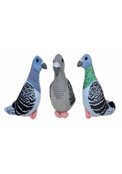 Gołąb 22cm MIX