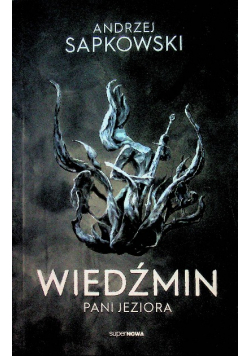 Wiedźmin Tom 7 Pani Jeziora