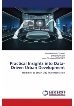 Practical Insights into Data-Driven Urban Development
