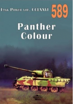 Panther Colour nr 589