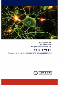 Cell Cycle
