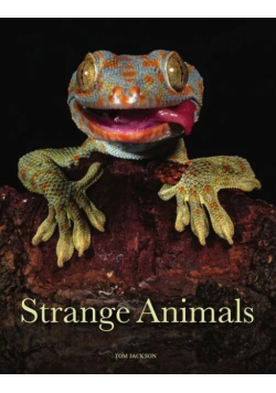 Strange Animals
