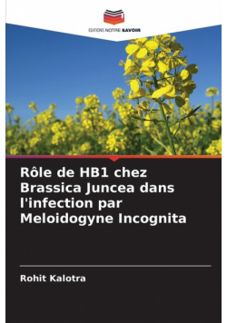 Rôle de HB1 chez Brassica Juncea dans l'infection par Meloidogyne Incognita