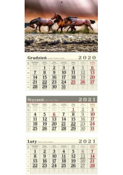Kalendarz 2021 Trójdzielny Konie CRUX