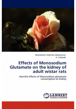 Effects of Monosodium Glutamate  on the kidney of adult wistar rats