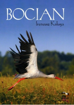 Bocian