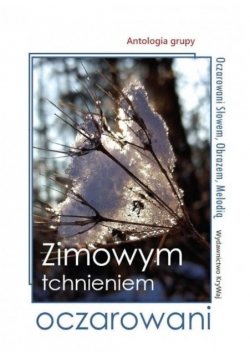 Zimowym tchnieniem oczarowani