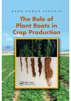 The Role of Plant Roots in Crop Production