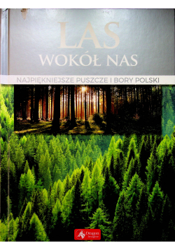 Las wokół nas