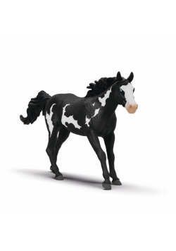 Wałach rasy Paint Horse