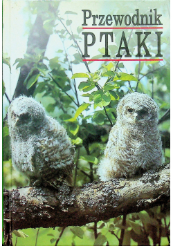 Przewodnik Ptaki