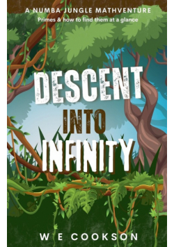 Descent Into Infinity