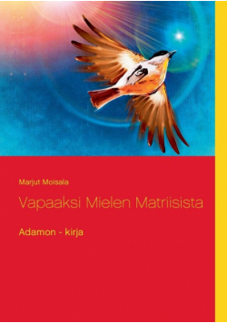 Vapaaksi Mielen Matriisista