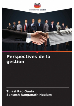 Perspectives de la gestion