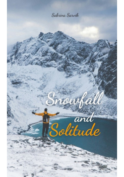 Snowfall and Solitude