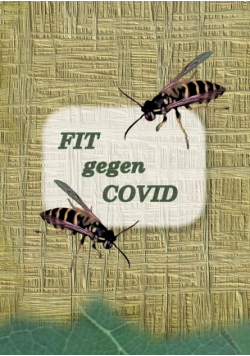 FIT gegen COVID