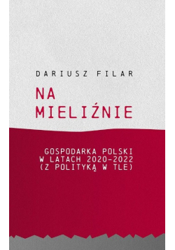 Na mieliźnie. Gospodarka Polski w latach 2020 - 2022