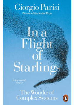 In a Flight of Starlings