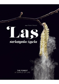 LAS świątynia życia