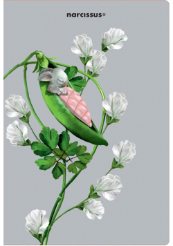 Teczka A4 Pea Pods
