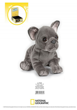 Blue French Bulldog Maskotka