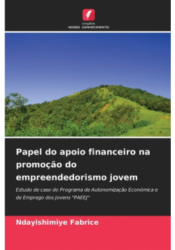 Papel do apoio financeiro na promoção do empreendedorismo jovem