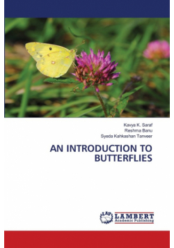 An Introduction To Butterflies