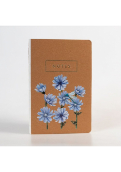 Notes KPL 6 Cykoria