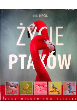 Życie ptaków