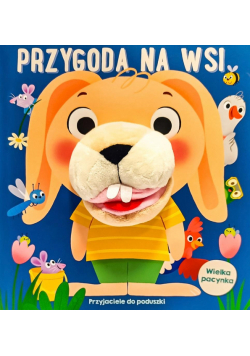 Przygoda na wsi. Przyjaciele do poduszki