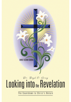Looking Into the Revelation