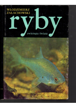 Ryby zwierzęta świata