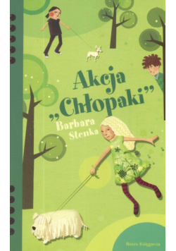 Akcja Chłopaki