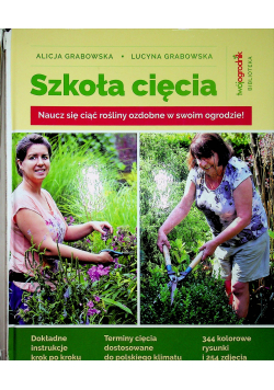 Szkoła cięcia