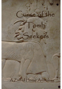 Curse of the Tomb Seekers