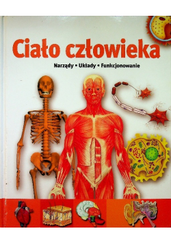 Ciało człowieka