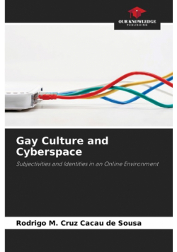Gay Culture and Cyberspace