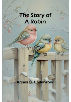 The Story of a Robin