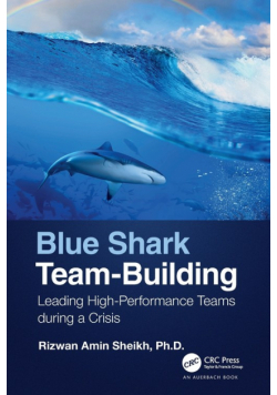 Blue Shark Team-Building