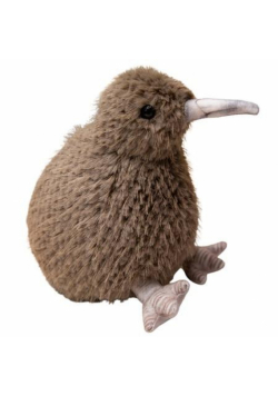Kiwi ciemnobrązowy 21cm